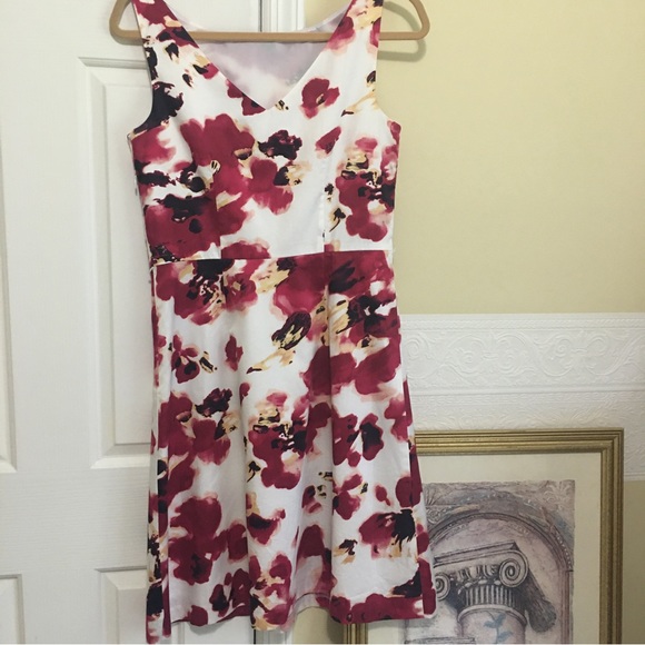 Ann Taylor White w/Deep Blush Florals Sleeveless A-Line Dress Woman’s Size 4 - Picture 10 of 11